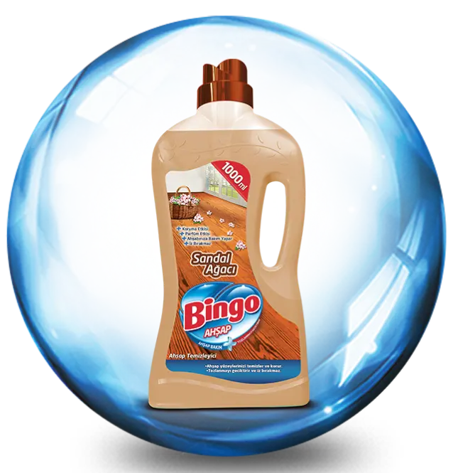 Bingo Sandal Ağacı
